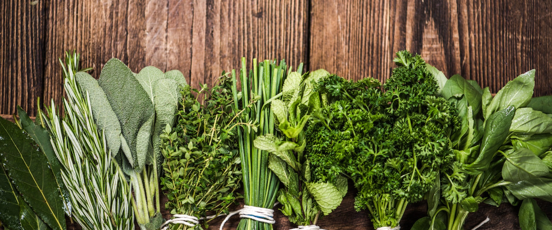 10 Most Used Herbs: A Comprehensive Guide