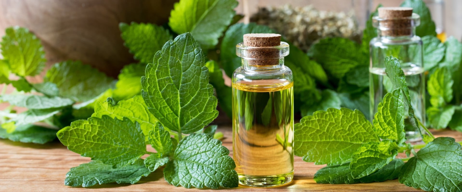 10 Herbal Medicines Approved By The DOH Uses Preparation And Where To 10-herbal-medicines-approved-by-the-doh-uses-preparation-and-where-to