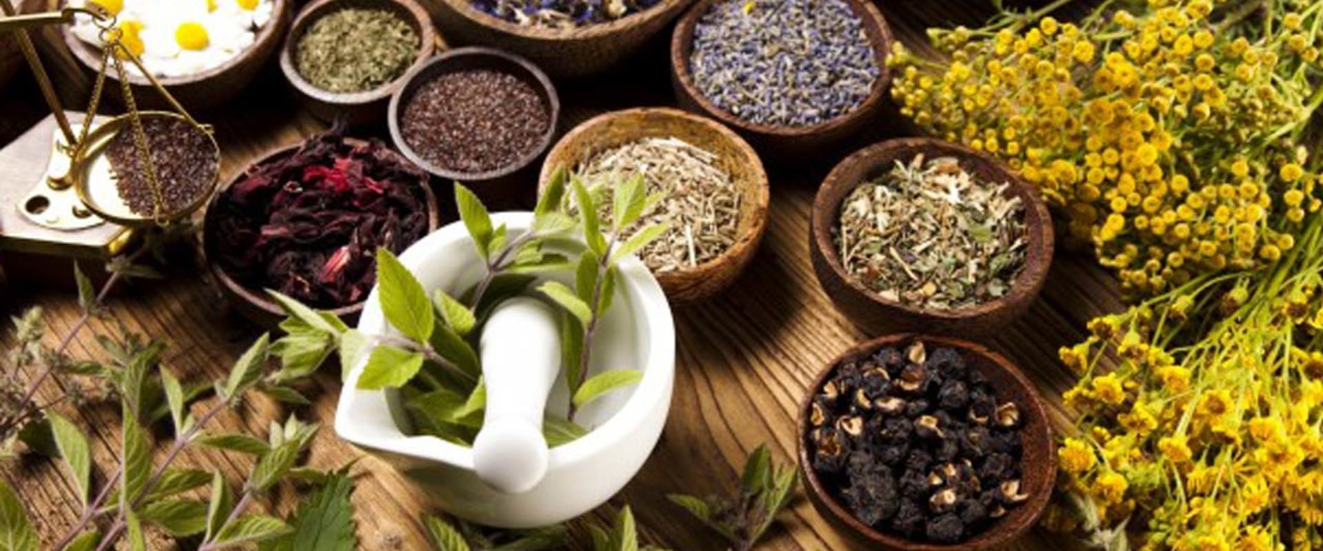 Exploring the Benefits of Traditional and Alternative Medicine: A Focus on Herbal Remedies