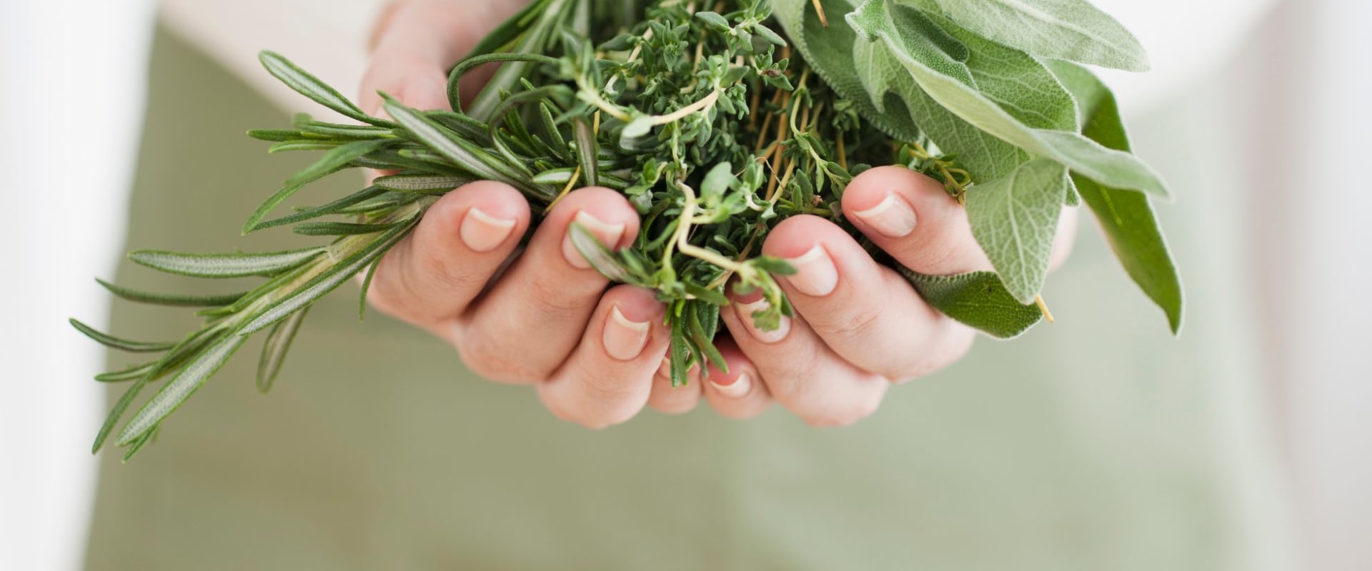 What are the 10 herbs approved by the health department?