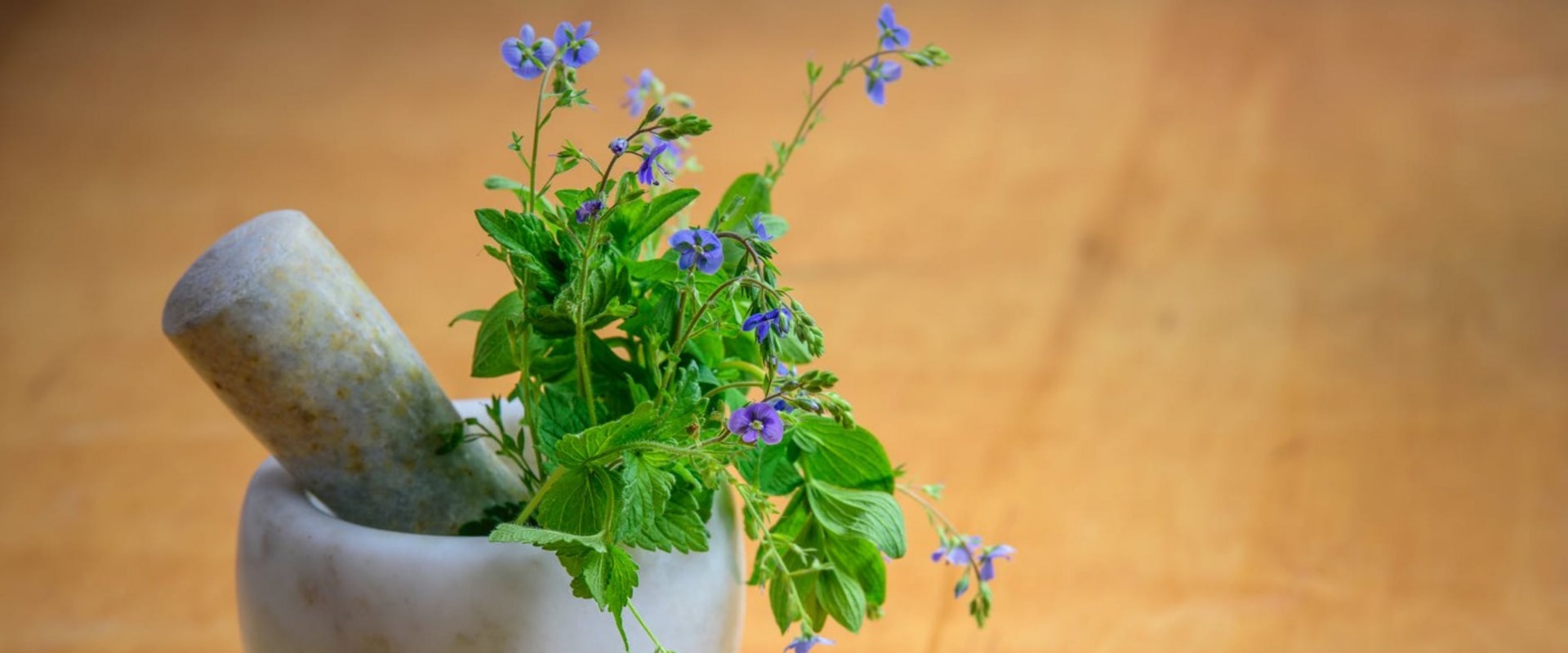 20 Medicinal Plants and Their Remarkable Health Benefits