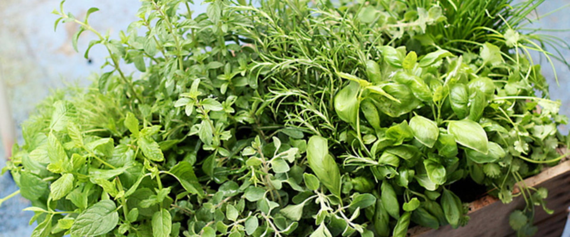 What herbs are worth growing?