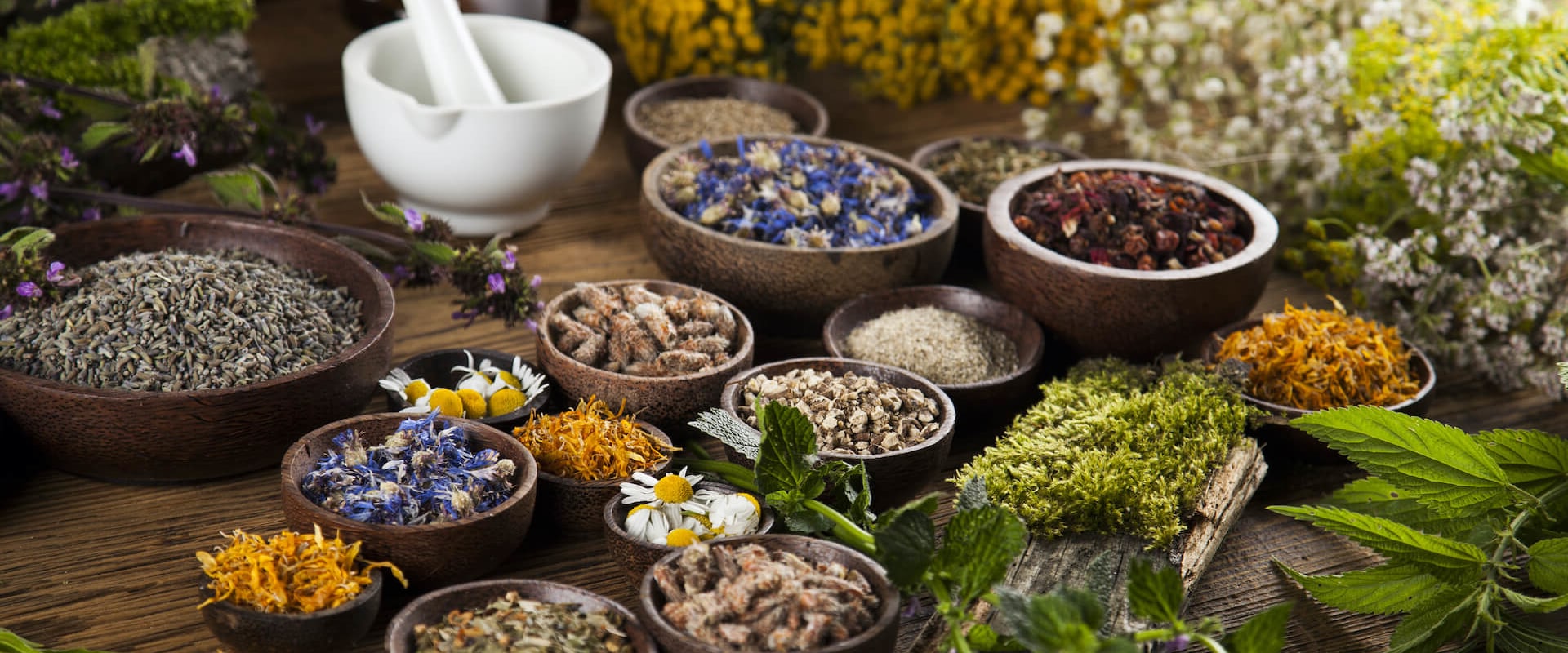 Understanding Traditional Medicine: The Role of Herbal Remedies