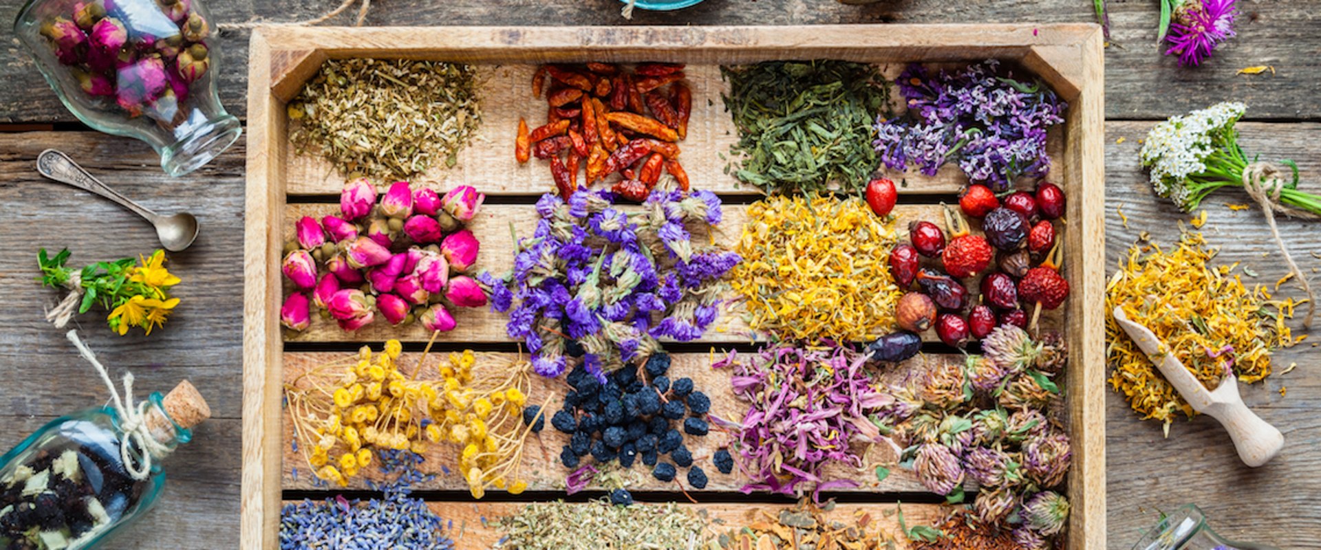 The Power of Nature: 9 Herbs with Proven Scientific Benefits
