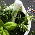The Most Powerful Herbs: Turmeric, Gingko, Evening Primrose Oil, Flaxseed, Tea Tree Oil, Echinacea and Ashwagandha