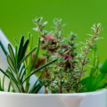 10 Herbs That Heal: A Guide to Common Medicinal Herbs